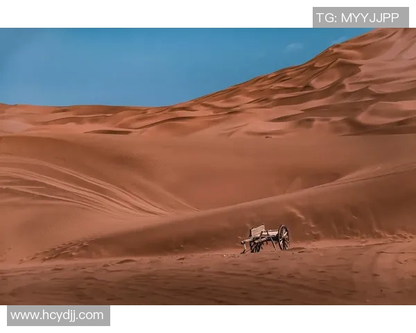 广州攀岩队崛起之路：从默默无闻到世界舞台的闪耀之旅